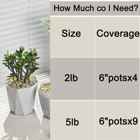 WHANLEY L&Q 5 LB Natural Silica Sand(3~5 mm) Coarse Sand,Succulent Rocks,Plant Rocks,Aquarium Gravel,Gravel,Pea Gravel,Horticultural Grit,Decorative Stones,Sand for Fire Pits, Fireplaces,Rocks in Saudi Arabia