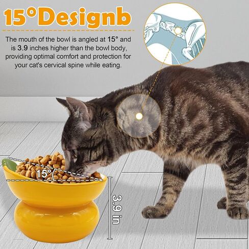 Hamiledyi Ceramic Raised Cat Bowls,15° Tilted Elevated Kitten Food Water Bowl Shallow Whisker Fatigue Kitty Dish Fruit Pet Feeding Bowls Feeder for Indoor Cats Small Dog (Pink, Strawberry) in Saudi Arabia