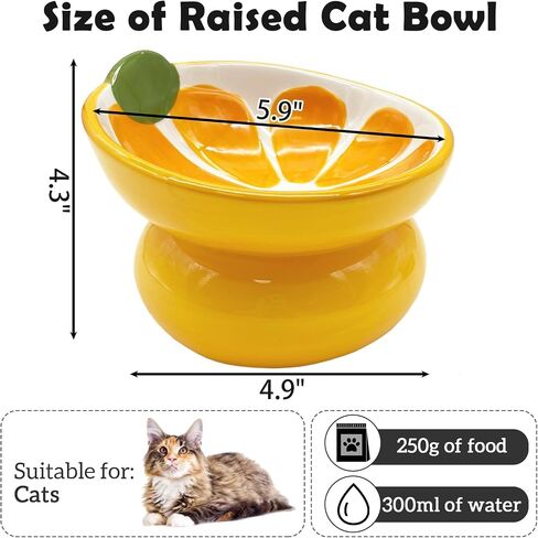 Hamiledyi Ceramic Raised Cat Bowls,15° Tilted Elevated Kitten Food Water Bowl Shallow Whisker Fatigue Kitty Dish Fruit Pet Feeding Bowls Feeder for Indoor Cats Small Dog (Pink, Strawberry) in Saudi Arabia