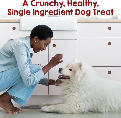 Riley's Chicken Chips for Dogs - USA-Sourced 100% Chicken Breast - 16oz in Kuwait