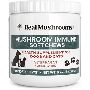 Real Mushrooms Calming Chews for Dogs - Cat & Dog Calming Treats w Reishi & Lion's Mane, Calming Treats for Dogs, Calming Chews for Relaxation, Calming Bites for Pet, Calming Cat Treats - 60ct