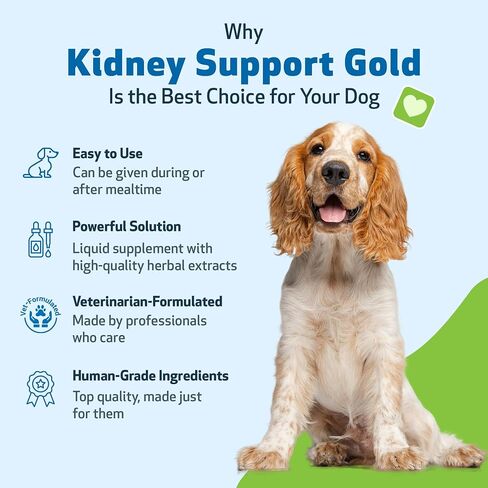 رعاية الكلى الأساسية من Pet Wellbeing للقطط والكلاب - غلاف الفوسفات اليومي - مركب من قبل الطبيب البيطري مع FOS والشيتوزان والبروبيوتيك والريشي - مسحوق 5.08 أونصة (144 جم) in Kuwait