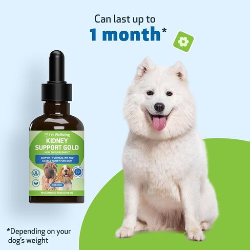 رعاية الكلى الأساسية من Pet Wellbeing للقطط والكلاب - غلاف الفوسفات اليومي - مركب من قبل الطبيب البيطري مع FOS والشيتوزان والبروبيوتيك والريشي - مسحوق 5.08 أونصة (144 جم) in Kuwait
