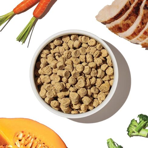 The Honest Kitchen Whole Food Clusters Small Breed Grain Free Beef Dry Dog Food, 10 lb Bag in Kuwait