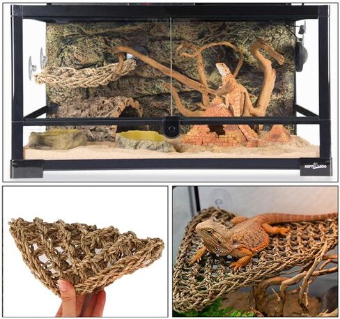 PIVBY Bearded Dragon Accessories Lizard Habitat Hammock Flexible Reptile Jungle Vines Leaves Decor with Suction Cups for Climbing, Chameleon, Lizards, Gecko, Snakes in Saudi Arabia