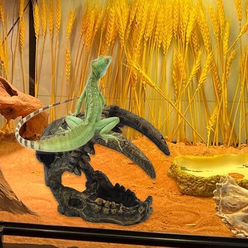 kathson Reptile Resin Dinosaur Skull Decoration Bearded Dragon Tank Triceratops Skeleton Accessories Vines Flexible Leaves Decor for Lizards Tortoises Snakes Frogs(3 PCS) in Saudi Arabia