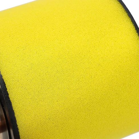 فورمان 500 فلتر الهواء استبدال 17254-HPO-A00 لهوندا روبيكون 500 بايونير 700 700-4 رينكون 680 بيج ريد 675cc MUV700 TRX500 TRX680 SXS700M2 SXS700M4 2005-2017 in Kuwait