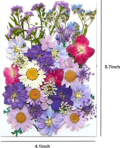 40 قطعة من الزهور المجففة المضغوطة من الراتنج DIY الفنية والحرف اليدوية والأعشاب الطبيعية وأوراق النبات الجافة ومجوهرات الإيبوكسي الزهرية الملونة الحقيقية وديكور الكعك وحالات الهاتف والشموع المصنوعة يدويًا والصابون الصيفي in Saudi Arabia