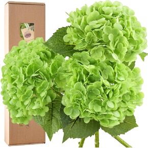 زهور الكوبية الحريرية ذات الملمس الحقيقي من FiveSeasonStuff، زهرتان صناعيتان كبيرتان طويلتان لترتيبات الزهور (أبيض صيفي)