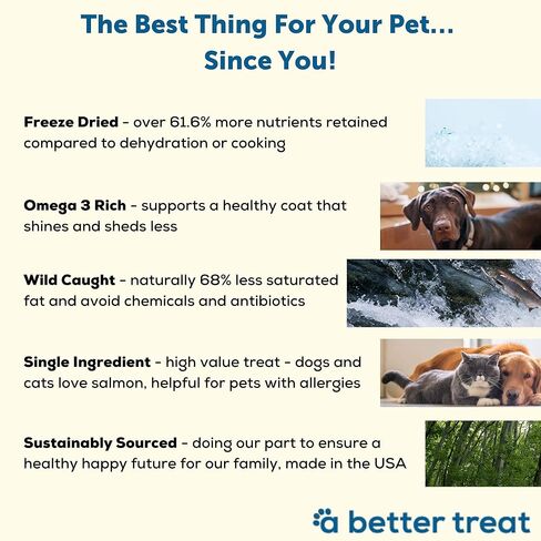 A Better Treat New Freeze Dried Salmon Dog Treats, Wild Caught, Single Ingredient | Natural High Value | Gluten Free, Grain Free, High Protein, Diabetic Friendly | Natural Fish Oil | Made in The USA in Saudi Arabia
