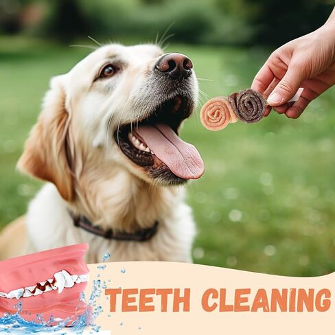 Pawmate Dog Treats Chicken Wrapped Donuts Ring، مضغ يدوم طويلاً، وجبات خفيفة خالية من الحبوب مع توراين للكلاب المتوسطة والكبيرة، 4 قطع in Kuwait