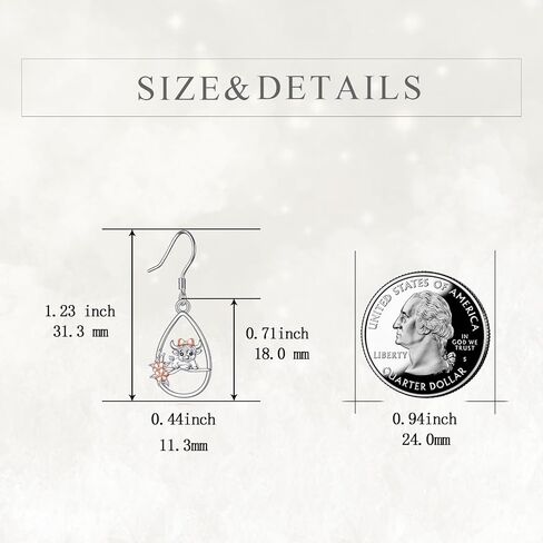 TIGER RIDER Red Cardinal 925 Sterling Silver Earrings Heart Dangle Drop Bird Jewelry for Women Girlfriend lover friend in Saudi Arabia