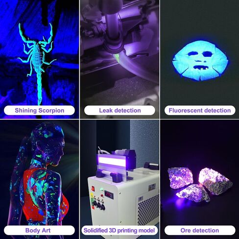 DARKBEAM UV 365nm Flashlight Black Light LED، مشاعل الأشعة فوق البنفسجية، مصباح أخشاب USB -C قوي قابل لإعادة الشحن، مقاوم للماء قابل للتركيز، كشف تسرب بول الحيوانات الأليفة والتيار المتردد، لعلاج الراتنج in Kuwait