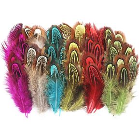 50 قطعة ريش الدراج الأزرق الياقوت 2-3 بوصة ريش للحرف اليدوية الملابس الخياطة تزيين الملحقات in Kuwait