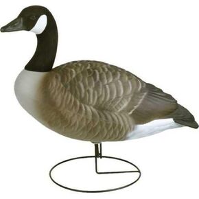 أفخاخ وإكسسوارات الطيور المائية من Flambeau Outdoors 8990FBU Storm Front 2 Fullbody Canada Goose Field Decoy - 6 عبوات