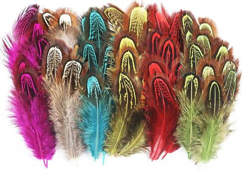 50 قطعة ريش الدراج الأزرق الياقوت 2-3 بوصة ريش للحرف اليدوية الملابس الخياطة تزيين الملحقات in Kuwait