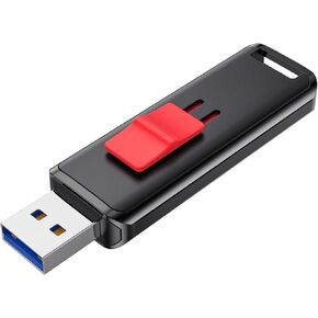 محرك أقراص فلاش USB JOIOT يصل إلى 350 ميجابايت/ثانية USB 3.2 متوافق مع محرك أقراص USB 3.1/USB3.0/USB 2.0 عالي السرعة مع فتحة سلسلة مفاتيح لملفات أفلام الموسيقى والصور (256 جيجابايت)