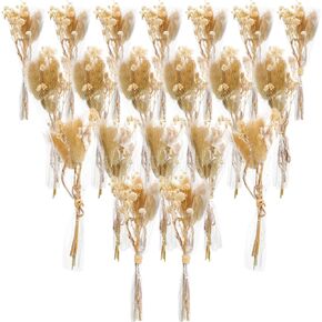 50 Pcs Mini Dried Baby's Breath Flowers Gypsophila Bouquets Natural Branches Dog Tail Bunny Rabbit Tail Dried Bulk Flowers Plants for Vase Home Decoration Photo Props Parties Weddings DIY Craft