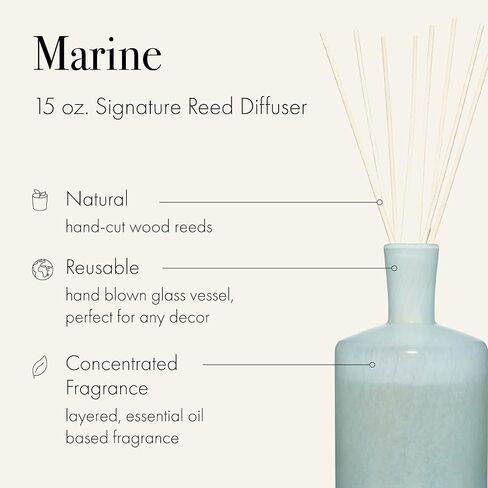 LAFCO New York Classic Reed Diffuser، شمبانيا - 6 أونصة - عمر عطر يصل إلى 3 أشهر - وعاء زجاجي منفوخ يدويًا قابل لإعادة الاستخدام - قصب من الخشب الطبيعي - صنع في الولايات المتحدة الأمريكية in Kuwait