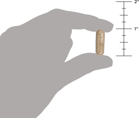 بروبيوتيك التغذية القديمة للنساء، بروبيوتيك للنساء مرة واحدة يوميًا، 30 قيراطًا، دعم الجهاز الهضمي والمناعي، تخفيف الانتفاخ والإمساك للنساء، خالي من الغلوتين، مزيج الأطعمة الفائقة، 25 مليار وحدة تشكيل مستعمرة* in Kuwait
