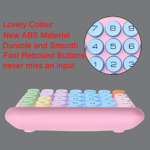 Desktop Calculator with 12 Digit Large LCD Display and Buttons Automatic Sleep for Office,School, Home & Business (Pack of 2, Blue and Pink) in Kuwait