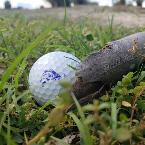 Gator Golf Ball Stamp, Golf Ball Stamper, Self-Inking Golf Ball Stamp Markers, Reusable Golf Ball Marking Tool to Identify Golf Balls, Golfer Gift Golfing Accessories in Saudi Arabia