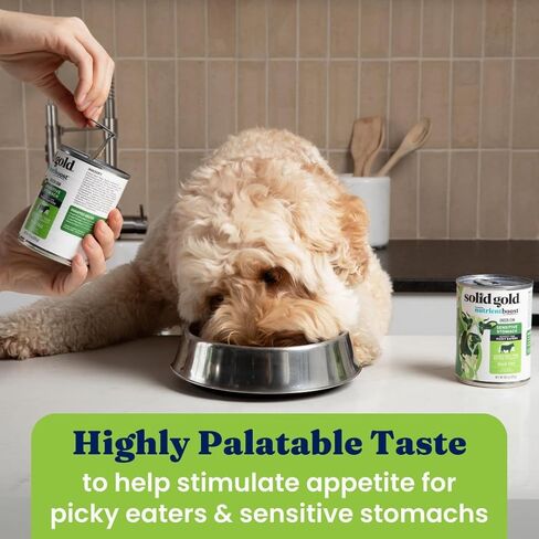 مزيج طعام الكلاب الرطب من البقرة الخضراء الذهبية الصلبة للكلاب البالغة والكبار من أجل أكلة صعب الإرضاء - إضافات طعام الكلاب المعلبة للخلط مع الطعام - أمعاء لحم البقر للمعدة الحساسة - علبة مفردة سعة 13.2 أونصة in Kuwait