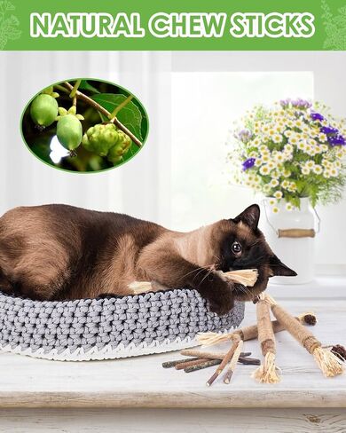 TINDTOP Cat Chew Toys, 12 Pack Silvervine Chew Sticks with 2 Pack Cage Balls for Kittens Teeth Cleaning, Matatabi Dental Care, Increase Appetite, Aggressive Chewers Cat Dental Toy in Saudi Arabia