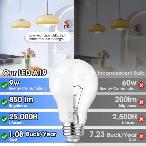 24 عبوة A19 مصابيح LED LED ، لمبة LED مكافئة 60 واط ، مصباح LED White White 5000k ، E26 ، 850 Lumen ، غير قابل للضوء ، مصباح أبيض مشرق 9W in Kuwait