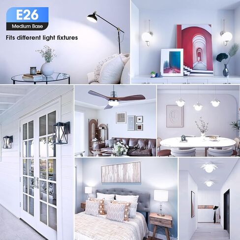 24 عبوة A19 مصابيح LED LED ، لمبة LED مكافئة 60 واط ، مصباح LED White White 5000k ، E26 ، 850 Lumen ، غير قابل للضوء ، مصباح أبيض مشرق 9W in Kuwait