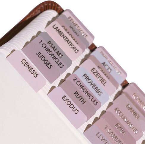 Laminated Bible Tabs for Women, Bible Study, Gold Foil Indexing Labels, Bible Journaling, Durable, New and Old Testament, Christian, Catholic, Apocrypha, 90 Tabs - Let Him Shine in Kuwait