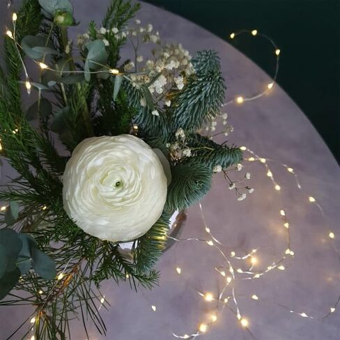 Feit Electric 6ft Iddoor LED Fairy String Lights مع مفتاح التشغيل/إيقاف تشغيله ، حبلا ضوء الأسلاك الفضية ، ساعات حياة 5K ، 1.8W أبيض دافئ وبطارية AA مدعومة - FY6-20/SLV in Kuwait