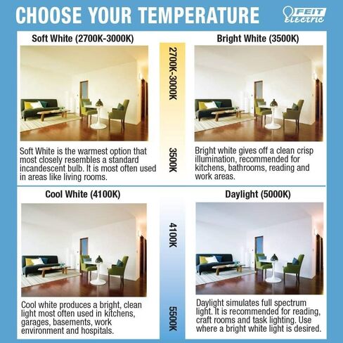 Feit Electric A15 LED LED LED BLOB ، 60 و WENTERANTALENT ، قابلة للضايق ، قاعدة E26 ، 2700 كيلو أبيض ناعم ، مصباح إديسون من الزجاج الصافي للمنزل ، المكتب ، عمر 13 عامًا ، BPA1560927CAFIL2RP/6 ، 12 حزمة in Kuwait