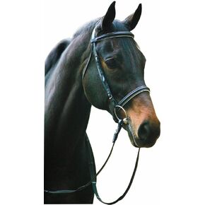 Henri de Rivel Dressage Bridle with Web Reins