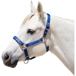 Kensington Premium Breakaway Halter with Padded Nose — Added Breakaway Safety Measures — Snap at Throat for Identical Fit Each Time