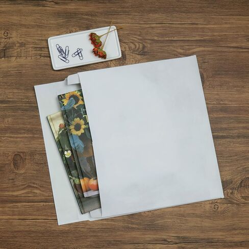 Survivor R4430 Tyvek Expansion Mailer، 10 × 13 × 2، أبيض، 18 رطل (علبة مكونة من 100) in Saudi Arabia
