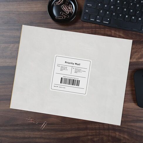 Survivor R4430 Tyvek Expansion Mailer، 10 × 13 × 2، أبيض، 18 رطل (علبة مكونة من 100) in Saudi Arabia