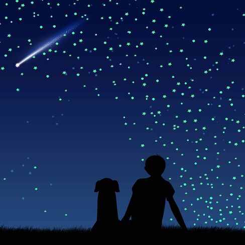 1230 PCS Glow Ultra Glow in the Dark Stars Wall Stickers ، Decors Decor Decor Decor Starry Sky Decor in Kuwait