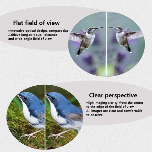 8x32ED Compact Binoculars for Adults – High-Powered BAK4 Prisms, Diamond White Coating, Waterproof & Fogproof, Rubber Armored – Ideal for Bird Watching, Hunting, Travel, Outdoor Sports in Kuwait