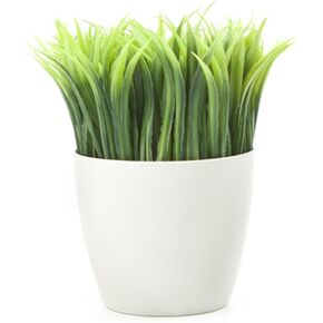 حامل مذكرة دينو من كيكرلاند (MH02)
