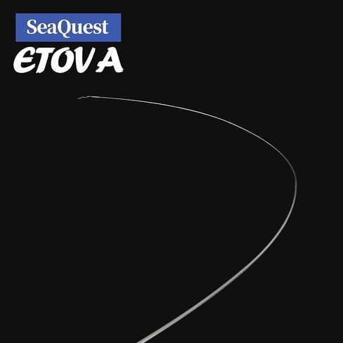 SeaQuest ETOVA 9FT 270CM Tenkara Rod tuwa ETOVA 9' in Kuwait