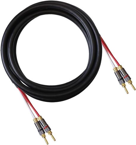 كابل مكبر الصوت Blue Jeans Cable Canare 4S11، مع نهايات تقليدية ملحومة بالموجات فوق الصوتية (غير ثنائية الأسلاك)، (كابل واحد - لمكبر صوت واحد)؛ تم تجميعها في الولايات المتحدة الأمريكية (10 أقدام، رمادي، موز إلى موز) in Kuwait