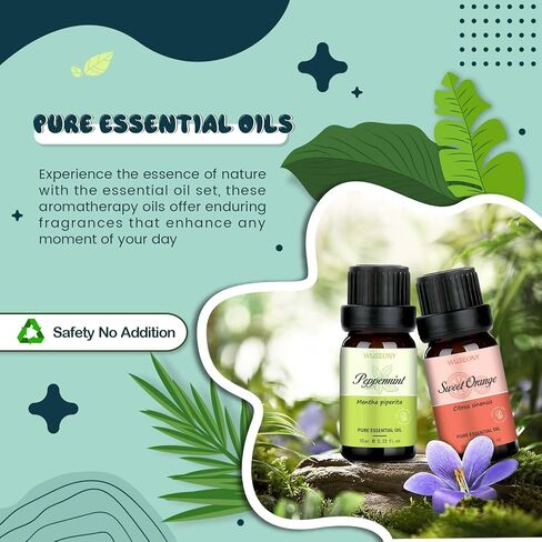Classic Man Fragrance Oils Set, Mens Essential Oils Set - Pine, Sweet Tobacco, Bay Rum, Cologne, Copaiba, Sandalwood Candle Scents for Candle Making, Soap Making Supplies, Diffuser Oil Scents in Kuwait