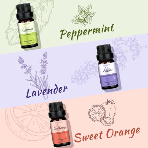 Classic Man Fragrance Oils Set, Mens Essential Oils Set - Pine, Sweet Tobacco, Bay Rum, Cologne, Copaiba, Sandalwood Candle Scents for Candle Making, Soap Making Supplies, Diffuser Oil Scents in Kuwait