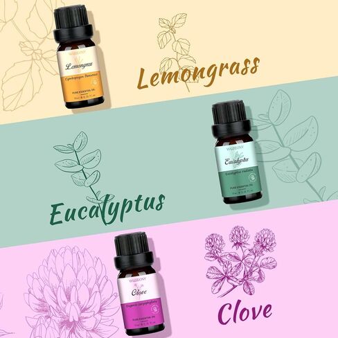 Classic Man Fragrance Oils Set, Mens Essential Oils Set - Pine, Sweet Tobacco, Bay Rum, Cologne, Copaiba, Sandalwood Candle Scents for Candle Making, Soap Making Supplies, Diffuser Oil Scents in Kuwait