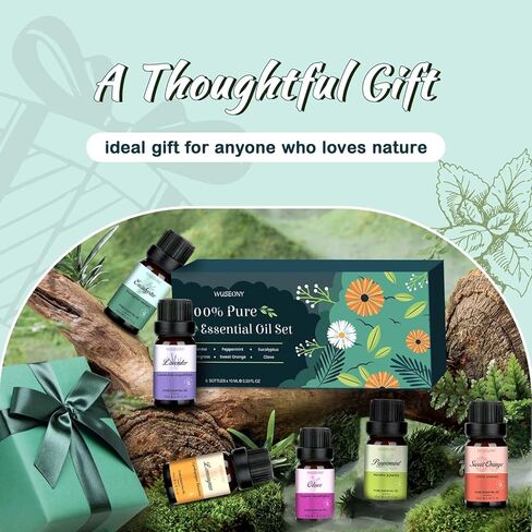 Classic Man Fragrance Oils Set, Mens Essential Oils Set - Pine, Sweet Tobacco, Bay Rum, Cologne, Copaiba, Sandalwood Candle Scents for Candle Making, Soap Making Supplies, Diffuser Oil Scents in Kuwait