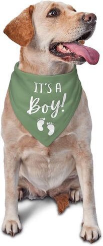 It's A Boy It's A Girl Gender Reveal/Baby Announcement Dog Bandana,Dog Engagement Bandana,Gender Reveal Dog Bandana,Gender Reveal Dog Bandana Reversible,2pack (Love Blue) in Kuwait