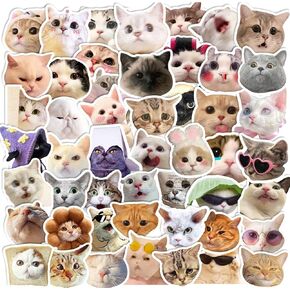 100pcs ملصقات Meme مضحكة ، ملصقات مضحكة للبالغين المراهقين ، ملصقات ميمي مضحكة للهاتف الزجاجة الماء القبعات الصلبة ، ملصقات ميم الإنترنت الشهيرة مضحكة للكمبيوتر المحمول