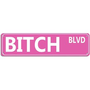 Retro Pink Tin Metal Sign - 'BITCH BLVD' - Bold Statement Decor for Home, Bar, or Dorm - 16x4 Inches - Unique Gift Idea for Friends(B71) in Kuwait