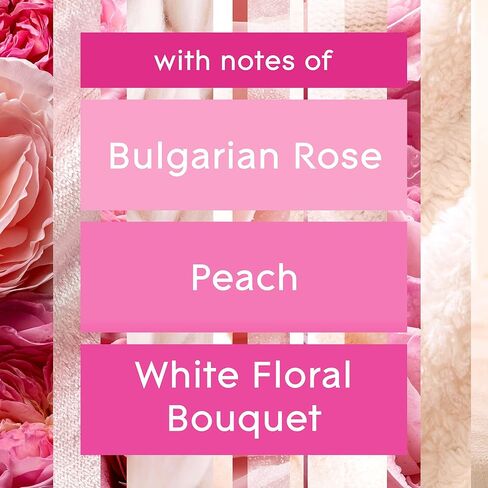 جرة شمعة Glade، معطر جو، همسات الملائكة، 3.4 أونصة in Kuwait